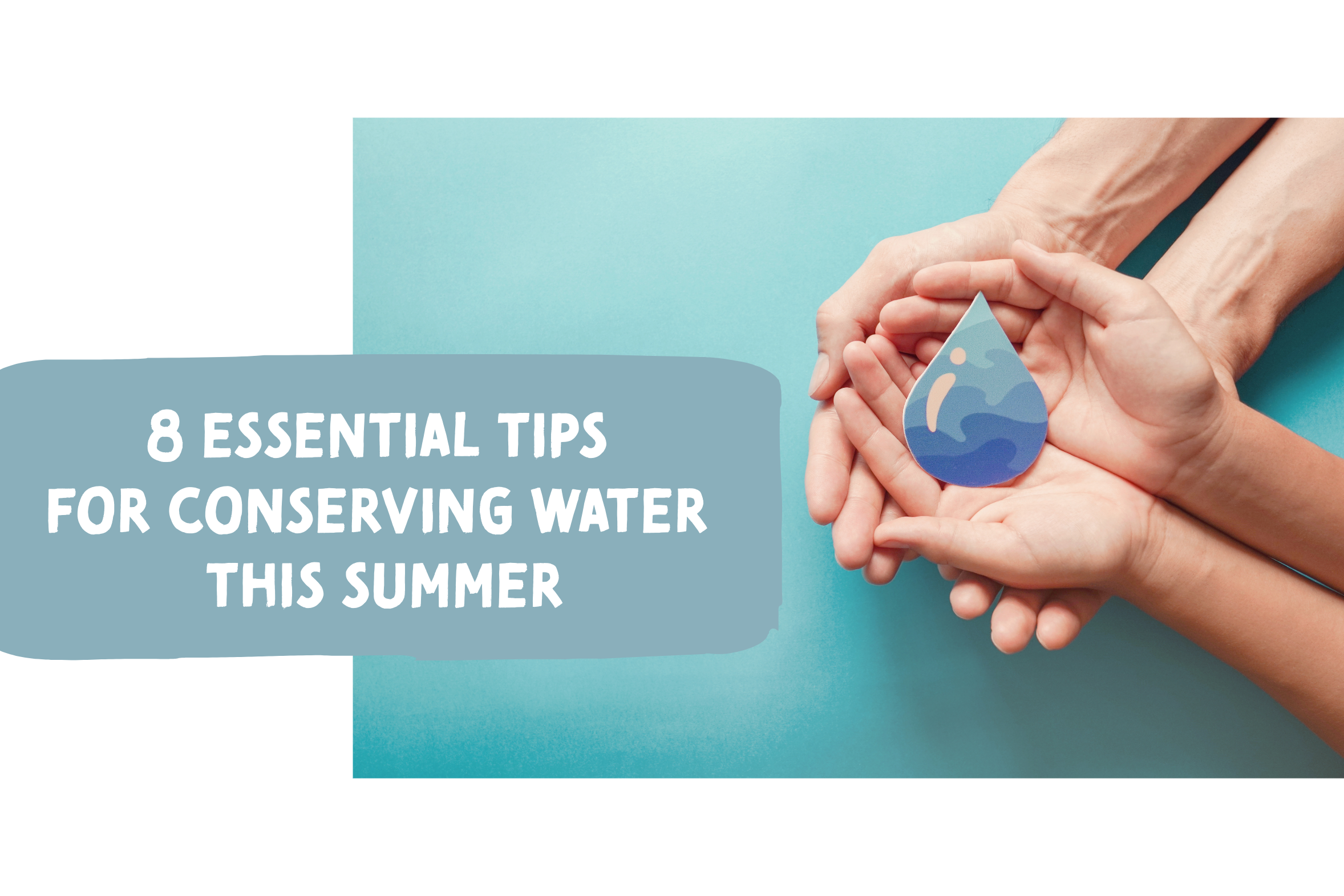 Blog on how to conserve water in the summer.